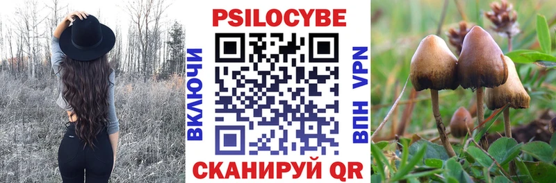 Псилоцибиновые грибы прущие грибы  Бологое 