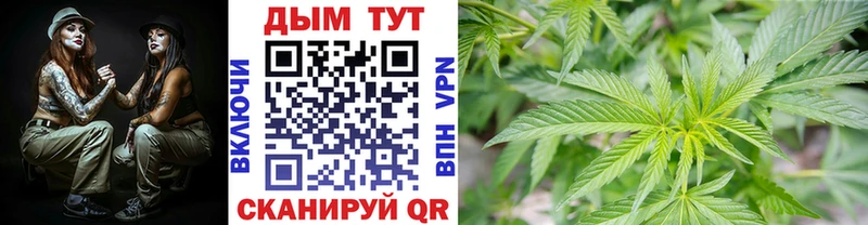 Канабис Amnesia  купить наркотики сайты  Бологое 